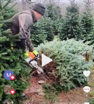 Csordás Csemete-kert