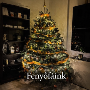 Csordás Csemete-kert