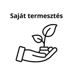 Csordás Csemete-kert